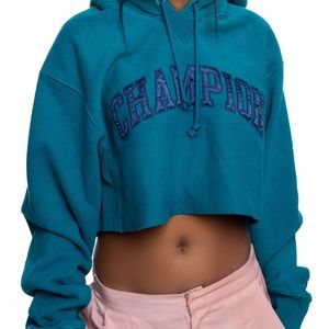 NWOT SOLD OUT Champion Cropped Vintage Hoodie